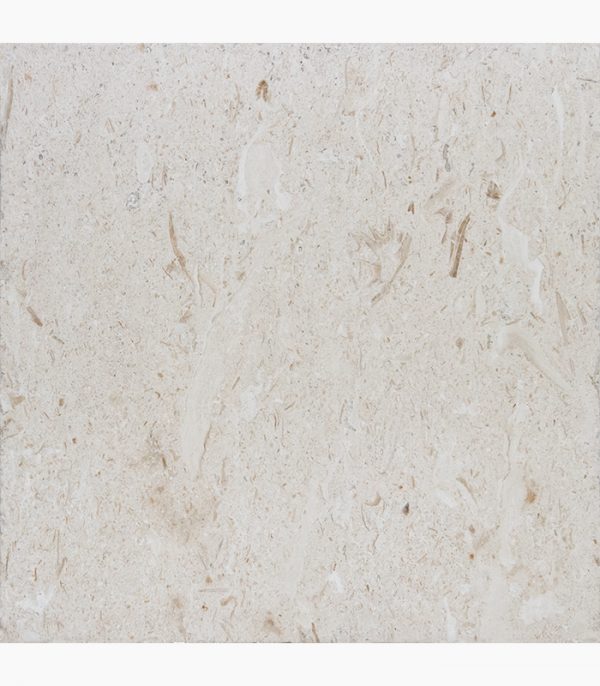 16x16 Shell Stone Premium Select Tumbled Limestone Paver