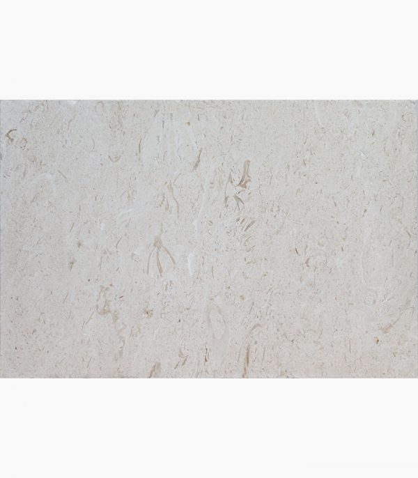 16x24 Shell Stone Premium Select Tumbled Limestone Paver