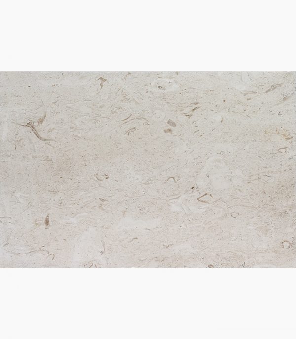 16x24x2 Shell Stone Premium Select Tumbled Limestone Thick Paver