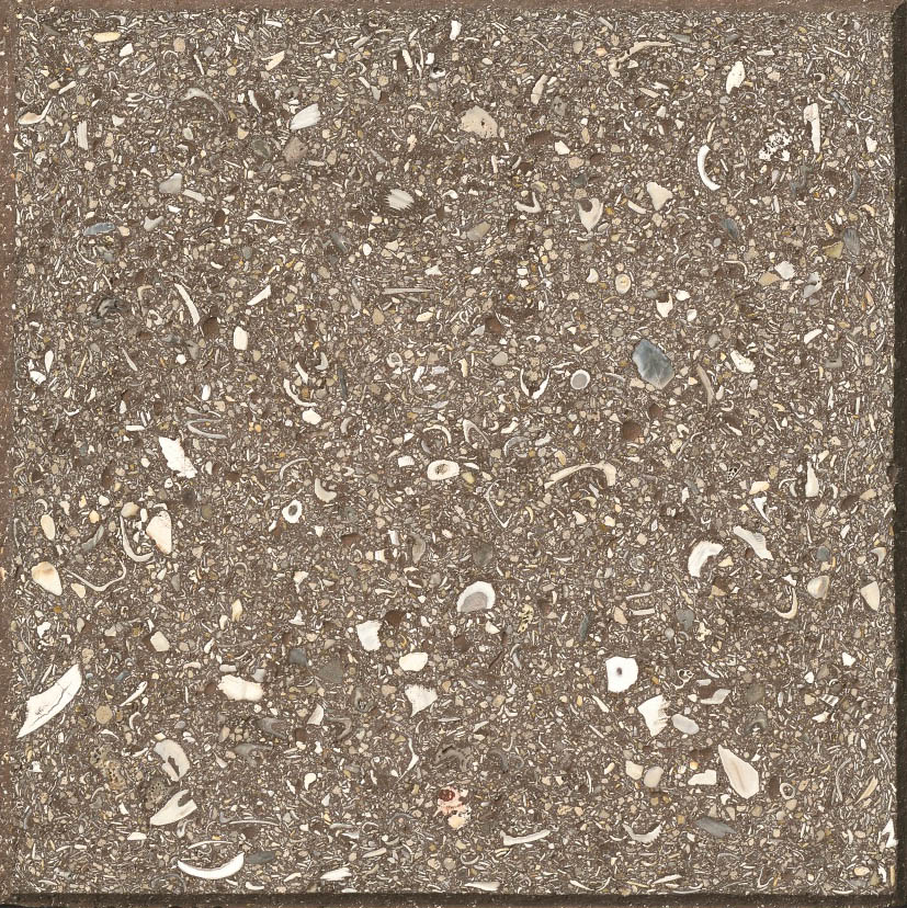 Roadlock Paver: Dark Chocolate