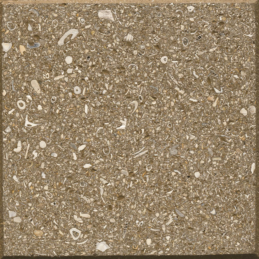 Roadlock Paver: Golden Brown