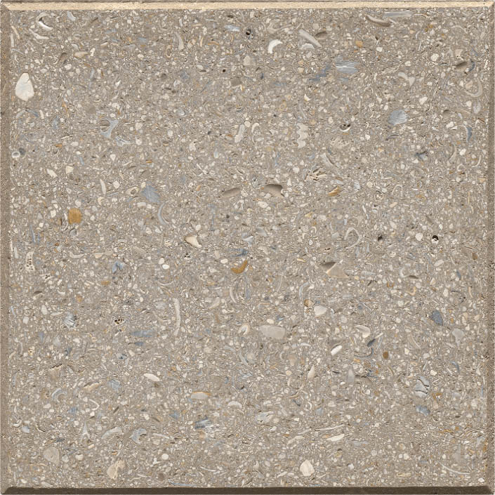 Shellock Paver: Cafe