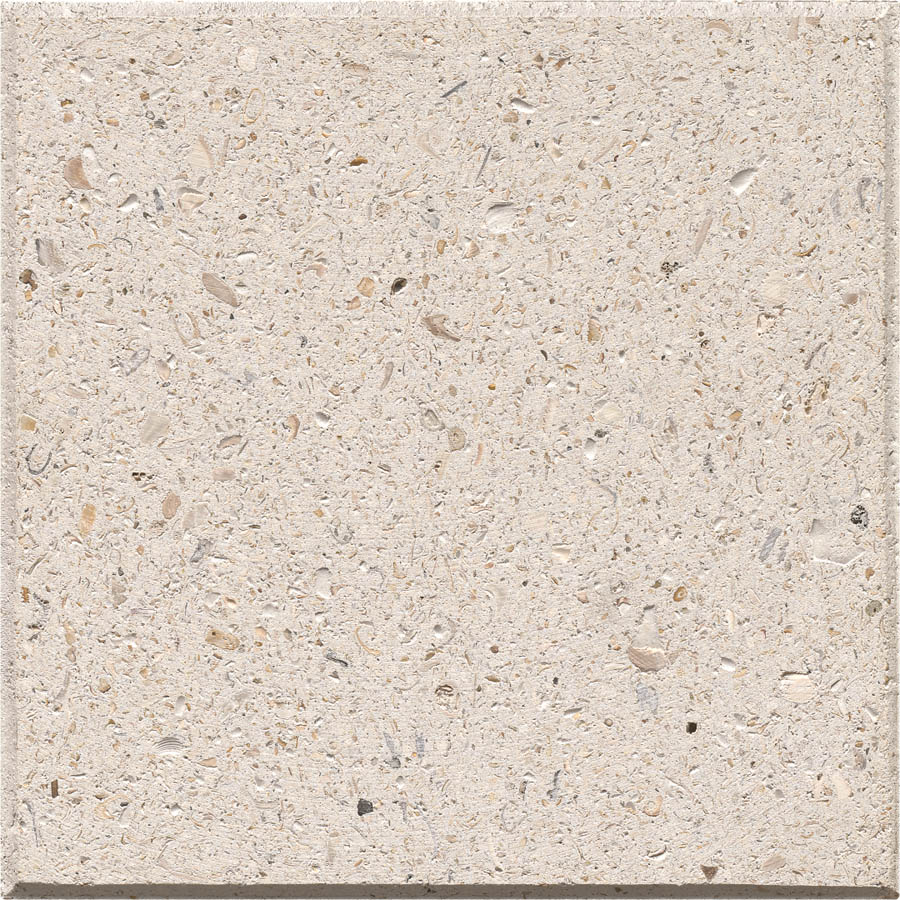 Shellock Paver: Ivory