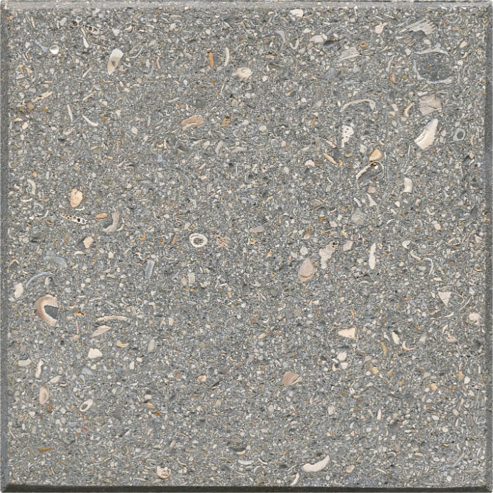 Shellock Paver: Silver