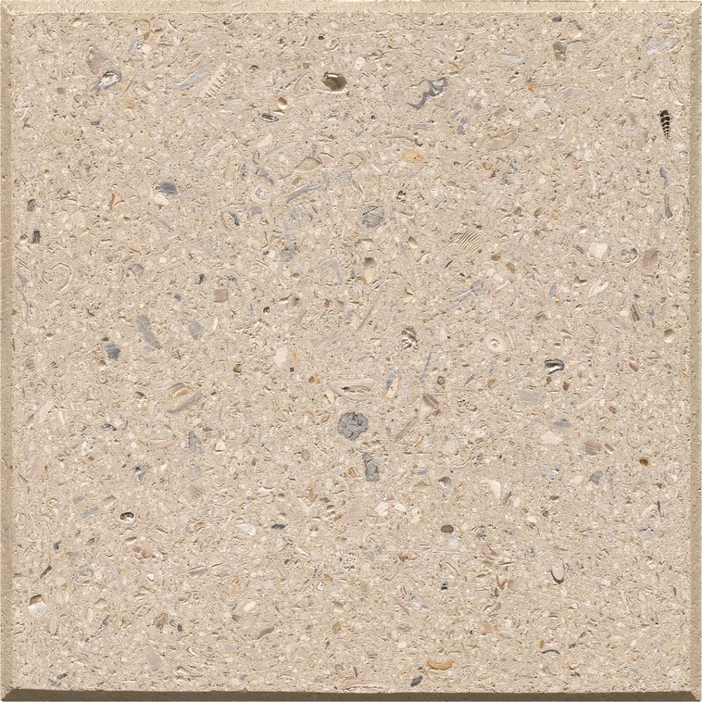 Shellock Paver: Tan